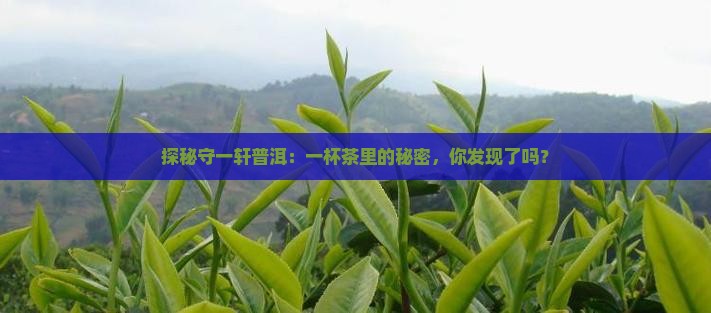 守一轩普洱茶优缺点