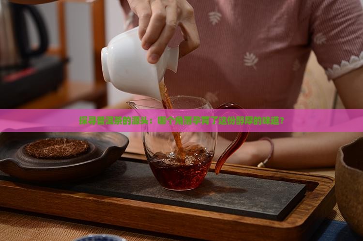 普洱茶在哪个地方种植
