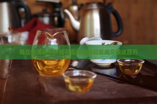 商丘普洱茶手工插花壶拍卖