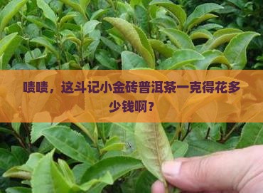 斗记小金砖普洱茶一克多少钱
