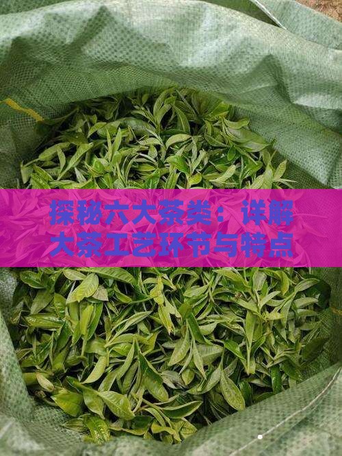 六大茶类的工艺环节及特点