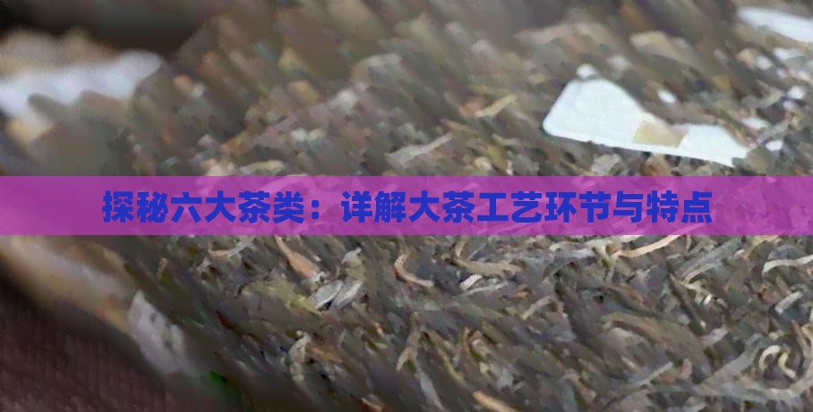 六大茶类的工艺环节及特点
