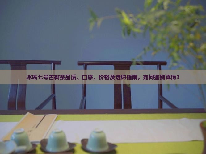 冰岛七号古树茶