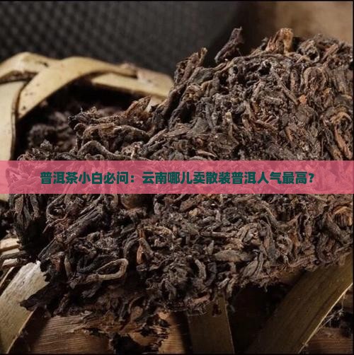云南散普洱茶哪里好卖
