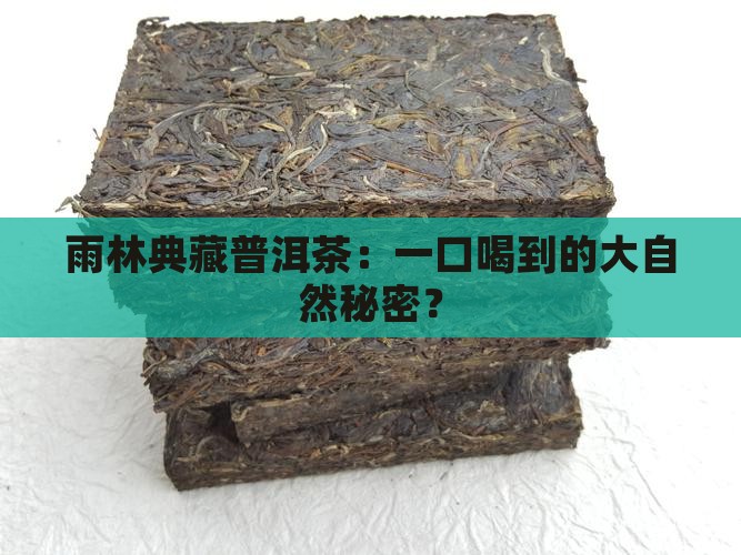雨林典藏普洱茶