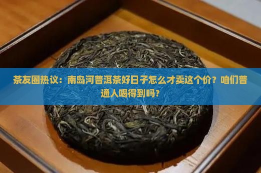 南岛河普洱茶好日子价位
