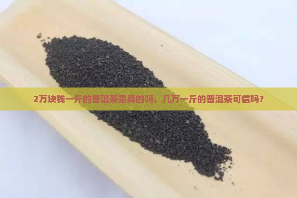 2万块钱一斤的普洱茶是真的吗