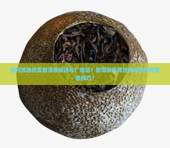 寻找普洱茶标语