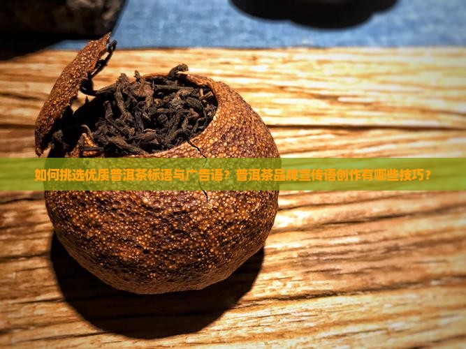 寻找普洱茶标语