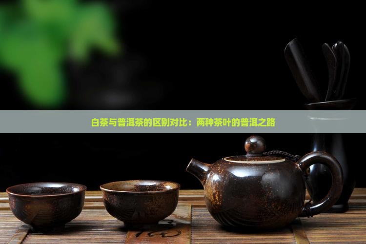 白毛茶和普洱茶