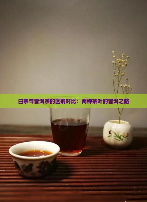 白毛茶和普洱茶
