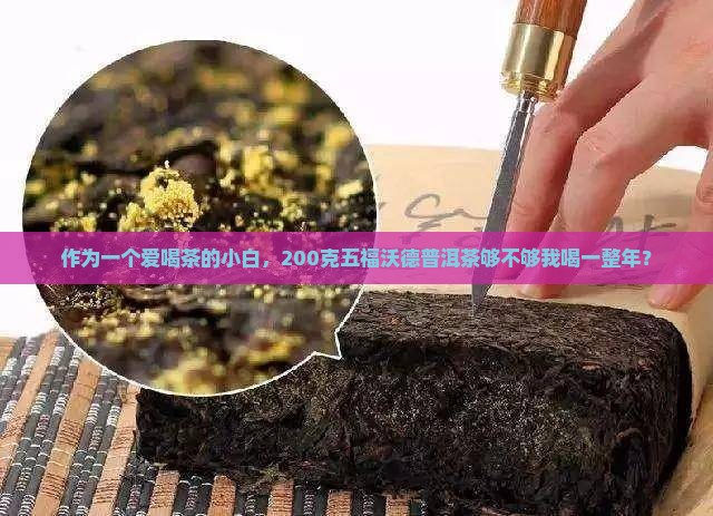 五福沃德普洱茶200克