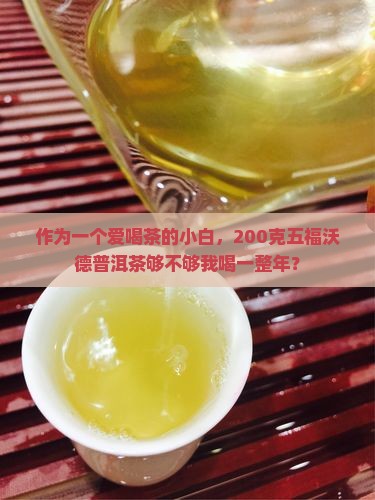 五福沃德普洱茶200克