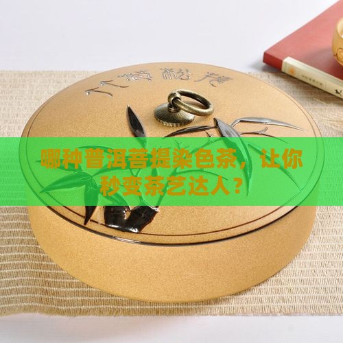 普洱茶菩提染色推荐品种