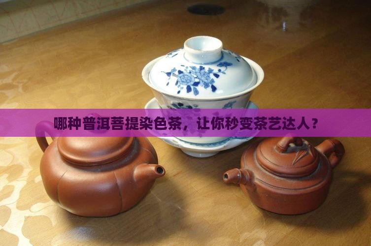 普洱茶菩提染色推荐品种