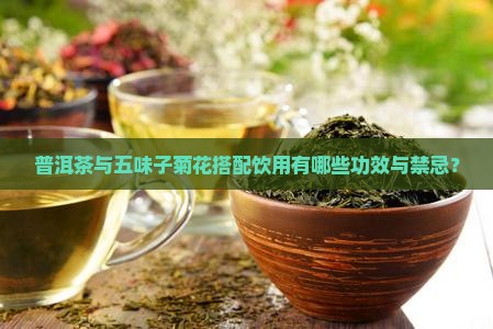 普洱茶和五味子菊花
