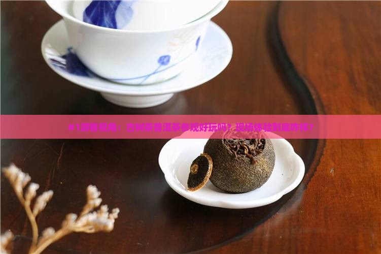 古树茶普洱茶参观