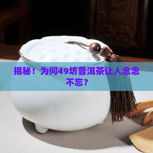 熟记肆拾玖坊普洱茶
