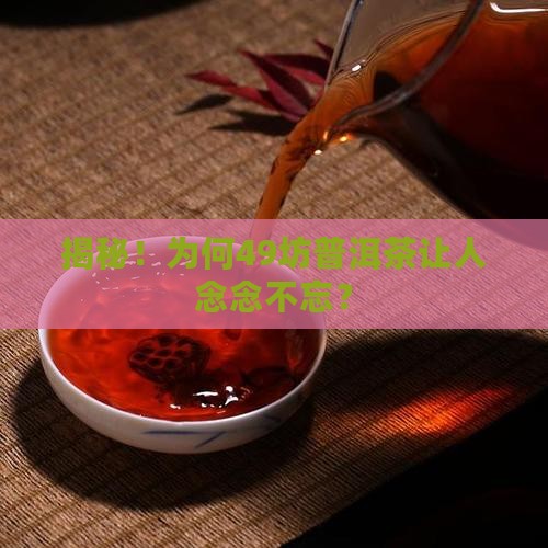 熟记肆拾玖坊普洱茶