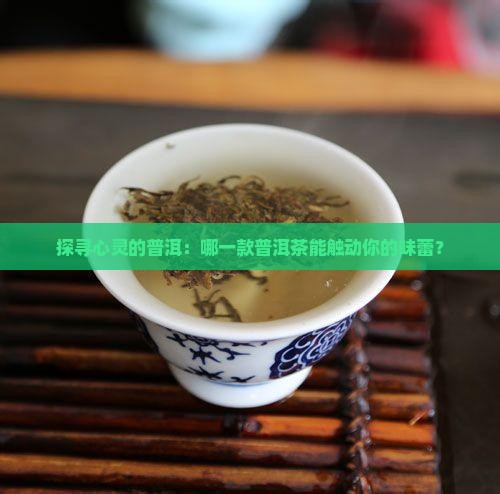 什么普洱茶适合喝