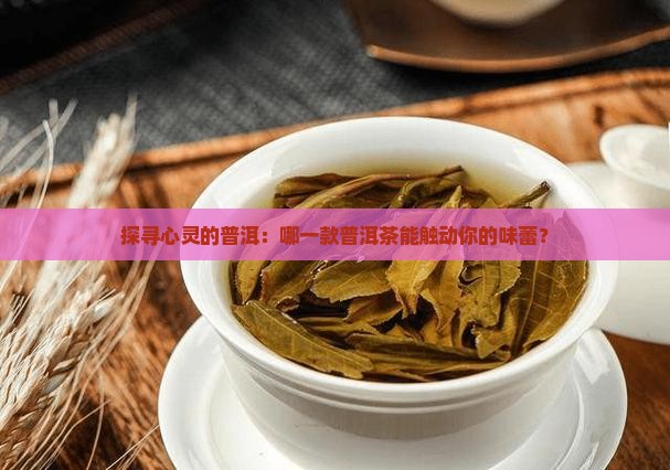 什么普洱茶适合喝