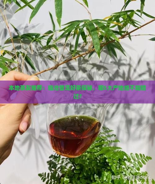 普洱茶临沧哪里好