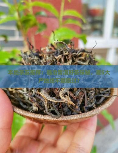 普洱茶临沧哪里好
