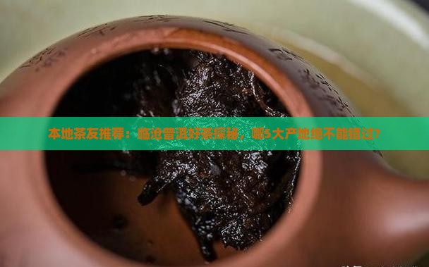普洱茶临沧哪里好