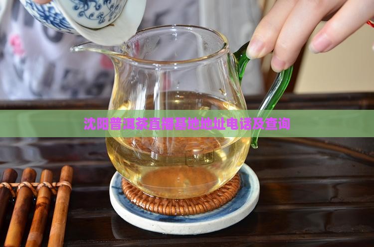 沈阳普洱茶直播基地地址