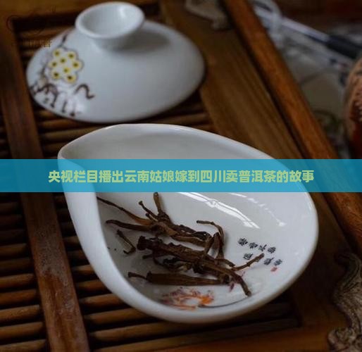 云南姑娘嫁到四川卖普洱茶