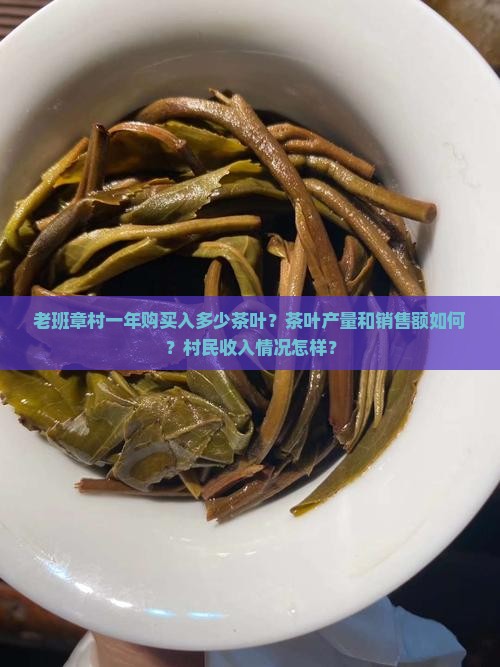 老班章村一年购买入多少