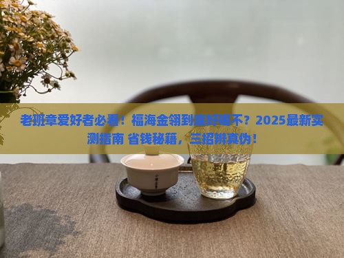 福海金翎老班章好喝吗