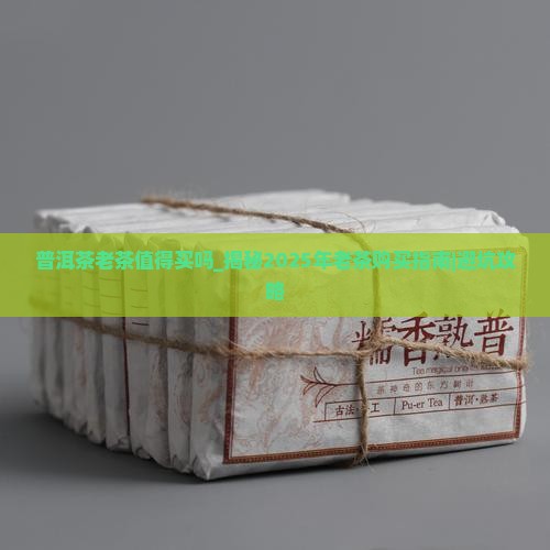 普洱茶老茶值得买吗