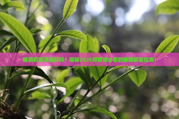 睡前和普洱茶好吗