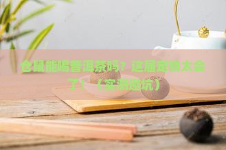 仓鼠能喝普洱茶吗怎么泡