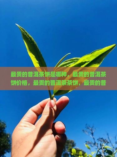 最贵的普洱茶饼是哪种 最贵的普洱茶饼是哪种