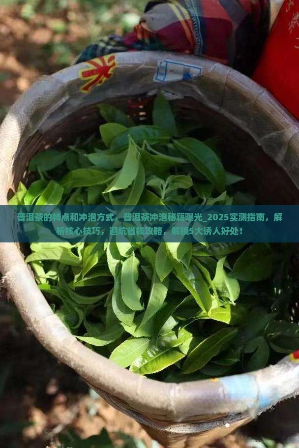 普洱茶的特点和冲泡方式