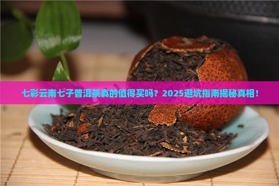 七彩云南七子普洱茶