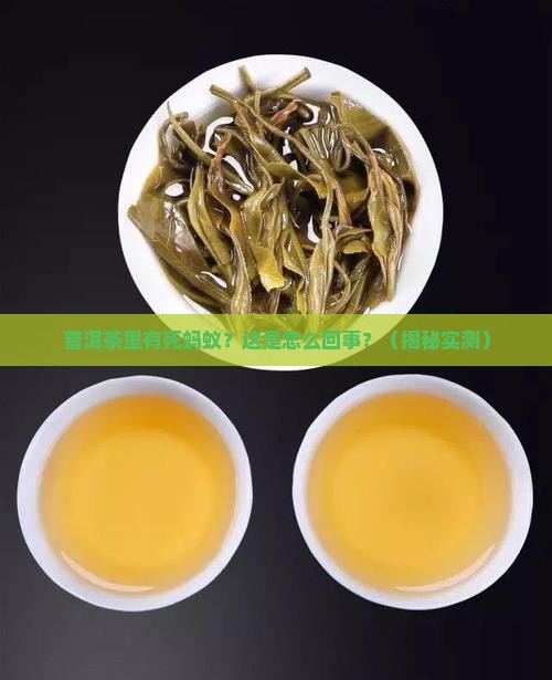 普洱茶有死蚂蚁是怎么回事