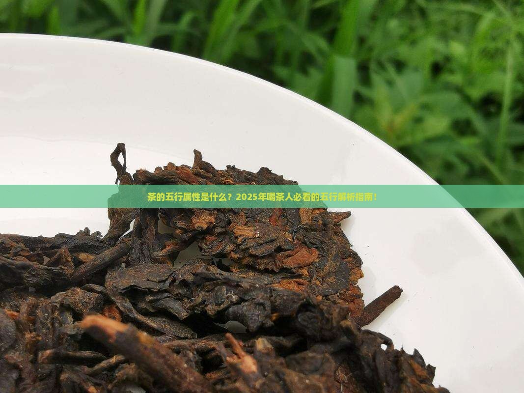 茶的五行属性是什么