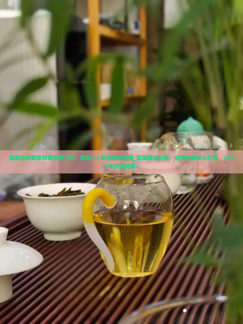 福鼎白茶散茶和茶饼哪个好
