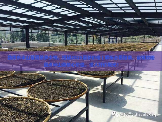 勐库东半山普洱茶多少饯