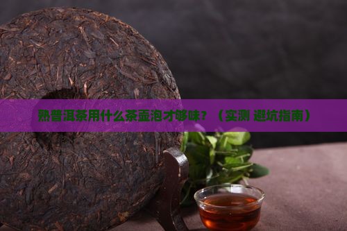 熟普洱茶用什么茶壶泡比较好
