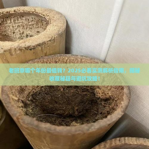 老班章什么年份的好