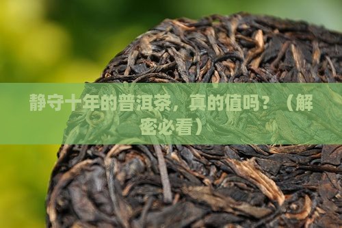 静守十年普洱茶