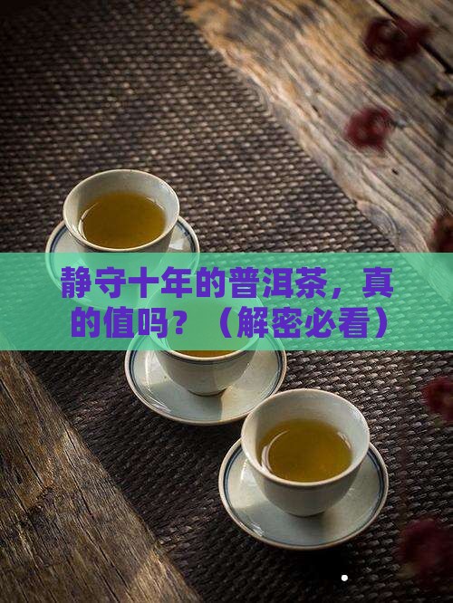 静守十年普洱茶