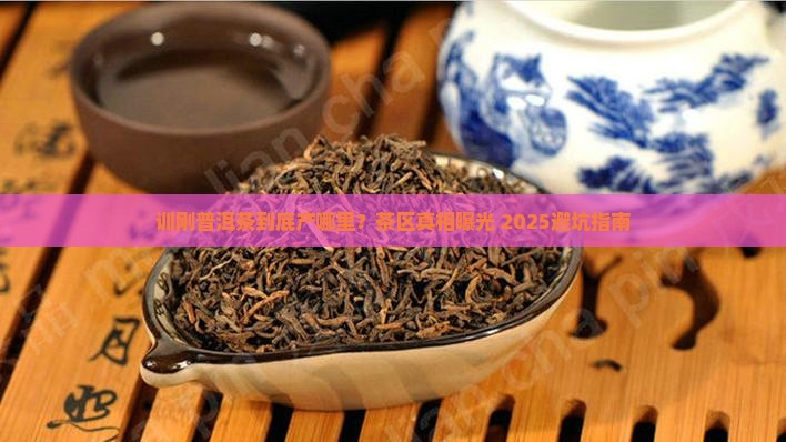 训刚普洱茶是什么茶区