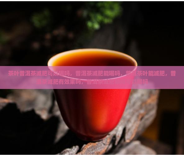 茶叶普洱茶减肥可以喝吗