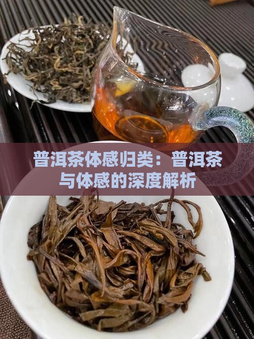 普洱茶体感归类