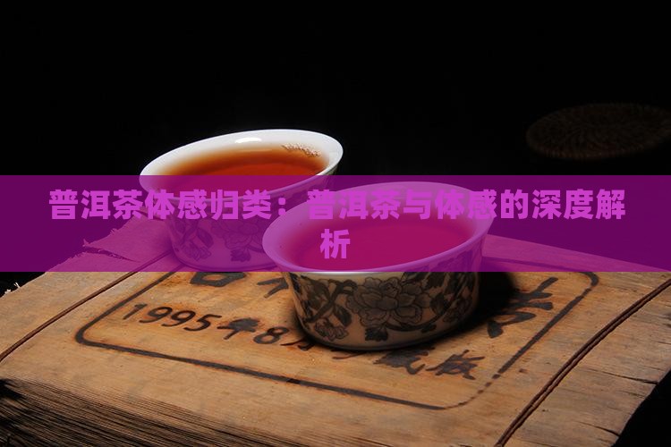 普洱茶体感归类